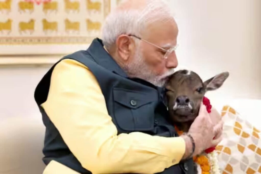 ‘They Don’t Consider Cow As...’: PM Modi’s Witty Take On Animal Lovers | Watch
