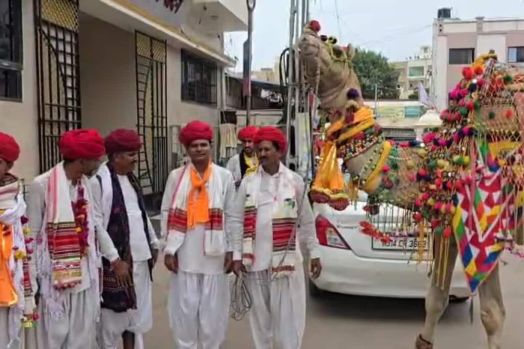 Rajasthani Youth Walk To Dwarka With Camel To Save Culture And Tradition