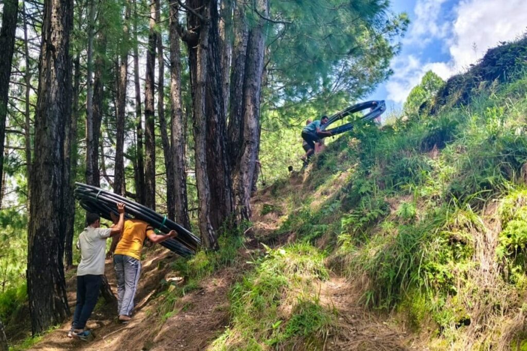 'Illegal Tree-Felling Taking Place': Supreme Court Sends Notice To Flood-Hit Northern States