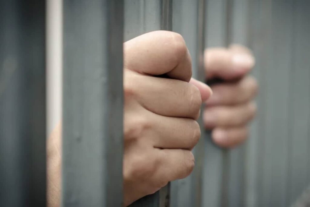 Indonesian Woman Held With Fake Aadhaar And PAN Cards At India-Nepal Border