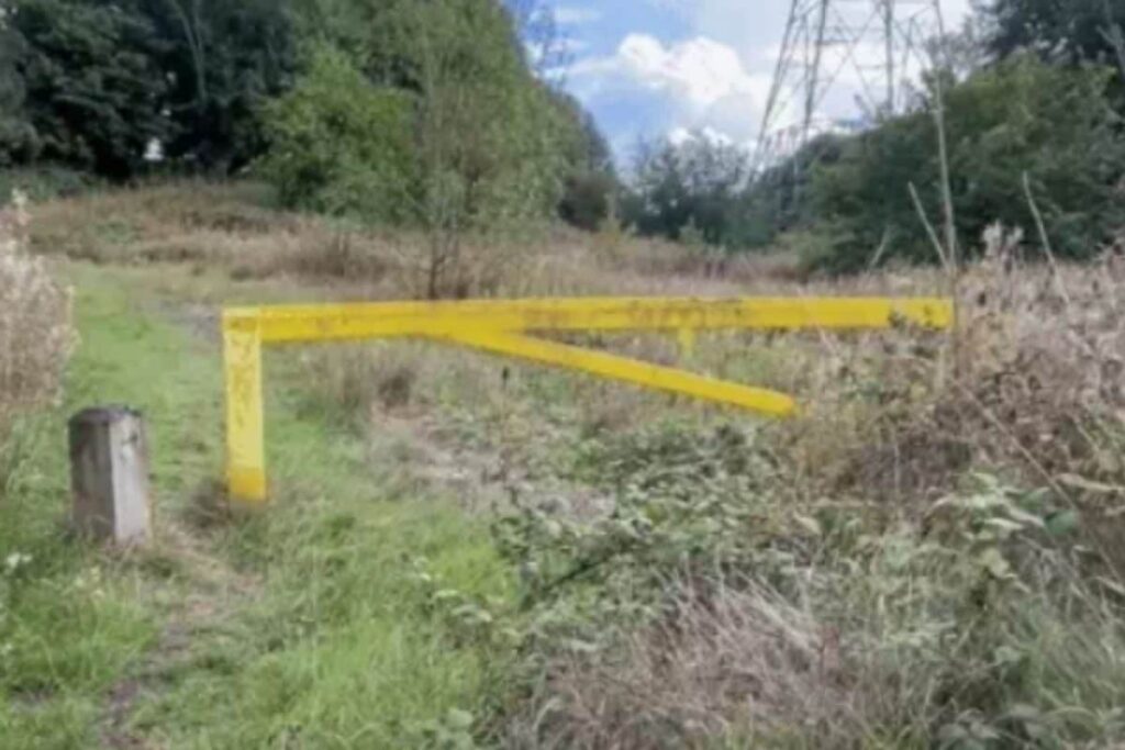 Unknown Body Chained To Tree, Partially Burned In Kerala Plantation