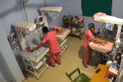 Nurses Shield Newborns In Brave Act During 5.8-Magnitude Assam Earthquake | Video