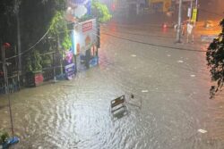 News18 Afternoon Digest: 6 Dead As Kolkata Grapples With Heavy Rain, Zubeen Garg Cremated And More Stories