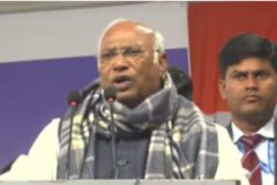 Remove Bad Mangoes Before Entire Box Is Rotten: Kharge On ‘Non-Performing’ Congres Leaders