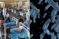 Deadly Bacterial Disease Spreads Across Madhya Pradesh: Act Fast If You See These Signs