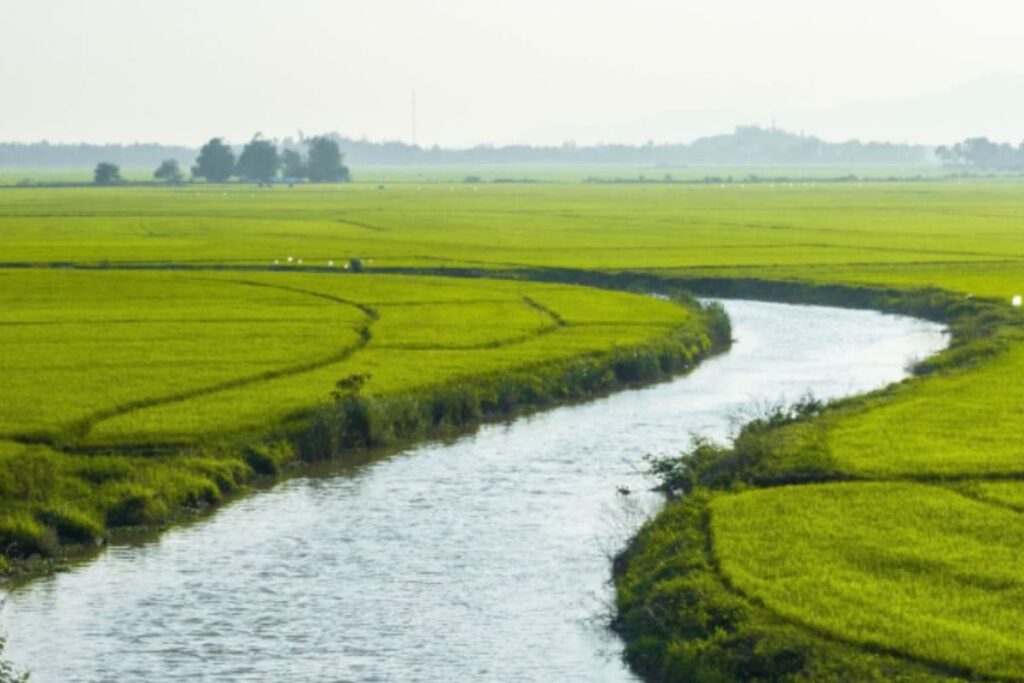 Every River In India Is Female. But This Powerful One Stands Apart