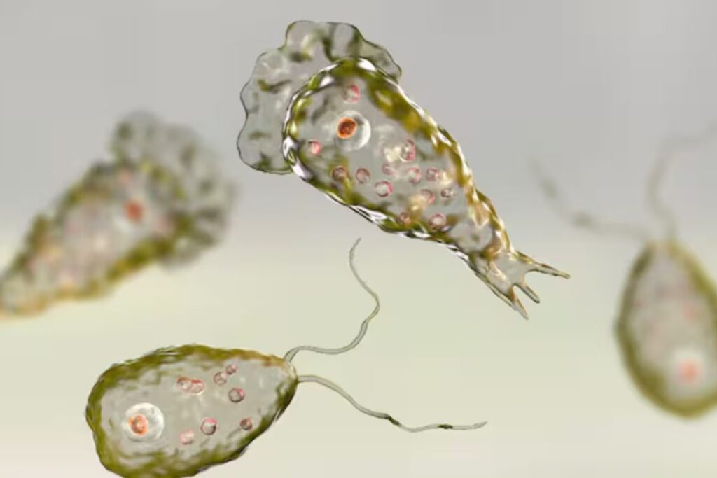 Kerala Reports 67 Cases Of Deadly Brain-Eating Amoeba, 18 Deaths So Far