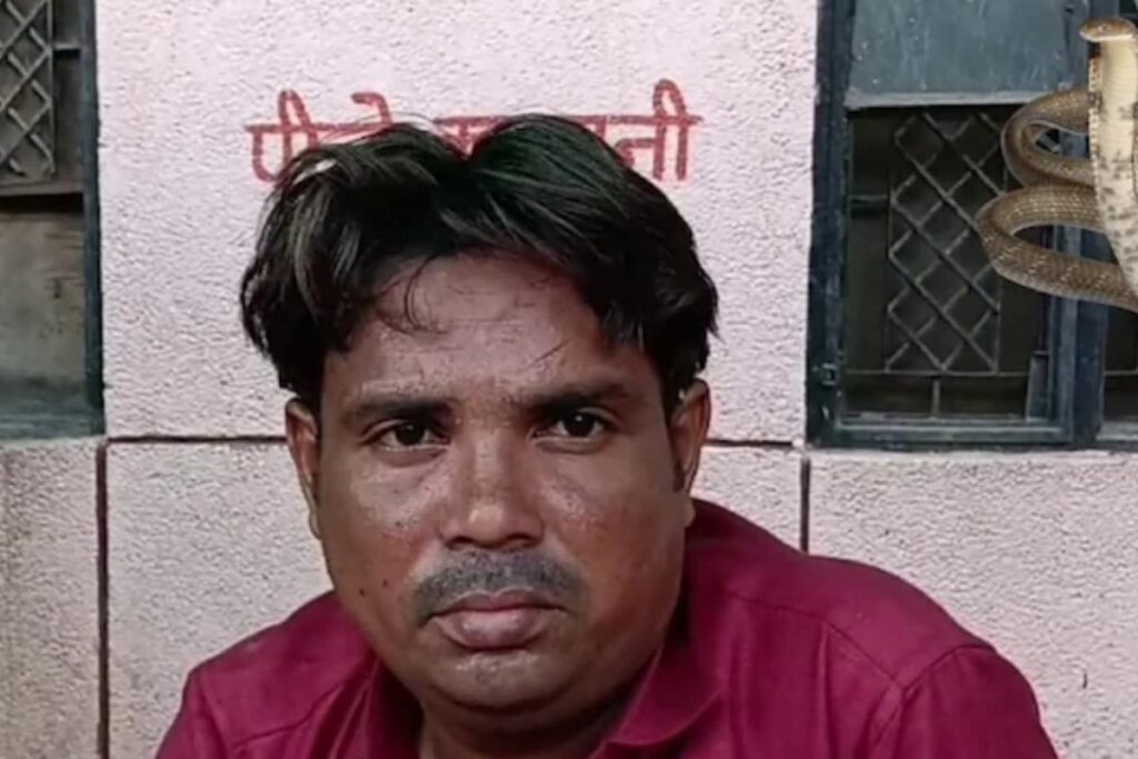 UP Driver Runs Over Cobra, Bitten By Another One In His Lorry Two Days Later