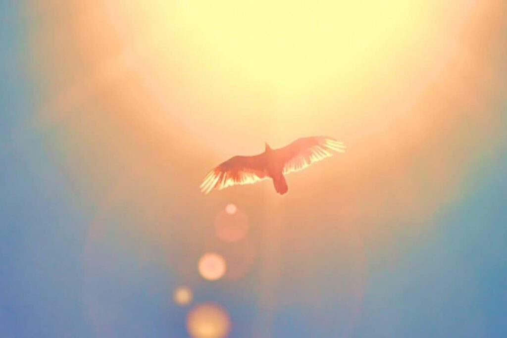 Life’s Ups & Downs Are Lessons: Trust The Journey, Your Time Will Surely Come