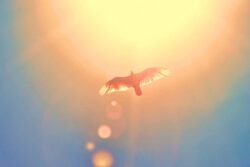 Life’s Ups & Downs Are Lessons: Trust The Journey, Your Time Will Surely Come