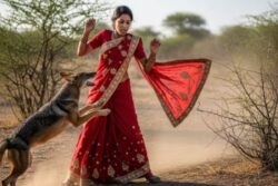 65-Year-Old MP Woman Fights Jackal For 30 Minutes, Strangles It With Saree