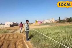 Hectare, Bigha, Acre: How Much Land Do They Really Cover? Measurement Guide Inside