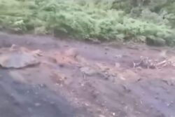 Heavy Rain Triggers Massive Landslide In Himachal’s Kinnaur; Video Goes Viral