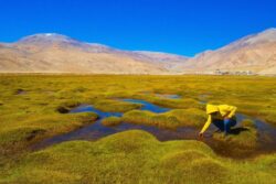 Ladakh: Tourism On The Rise, Space Projects Drive Modern Development