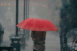 Gujarat Weather: IMD Issues Red Alert, Heavy Showers Likely To Continue