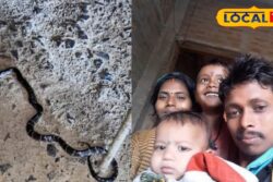 Silent Snake Attack Claims Two Children In MP Village, Father In Critical Condition
