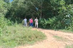 Medical Student From Odisha, Out For Dinner With Friend, Gangraped In Bengal's Durgapur