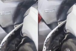 MLA's Son Rams Audi Into 2 Cars In Jaipur, Attacks Man After Injuring Him And His Friend