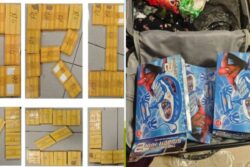 Mumbai DRI Seizes Cocaine Worth Rs 79 Crore Hidden In Toy Packages, Arrests 2 Women At Airport