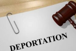 ‘I Don't Think I'll Survive': New Zealand-Born Teen Faces Deportation To India