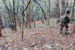 Number Of Most Naxal-Affected Districts In India Now Down To Three: MHA