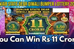 Punjab Lottery Diwali Bumper Result On October 31, 2025; First Prize Rs 11 Crore!