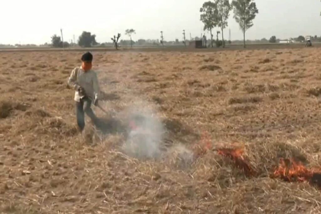 Punjab Sees Season’s Highest Single-Day Spike In Farm Fires, 147 Cases Reported