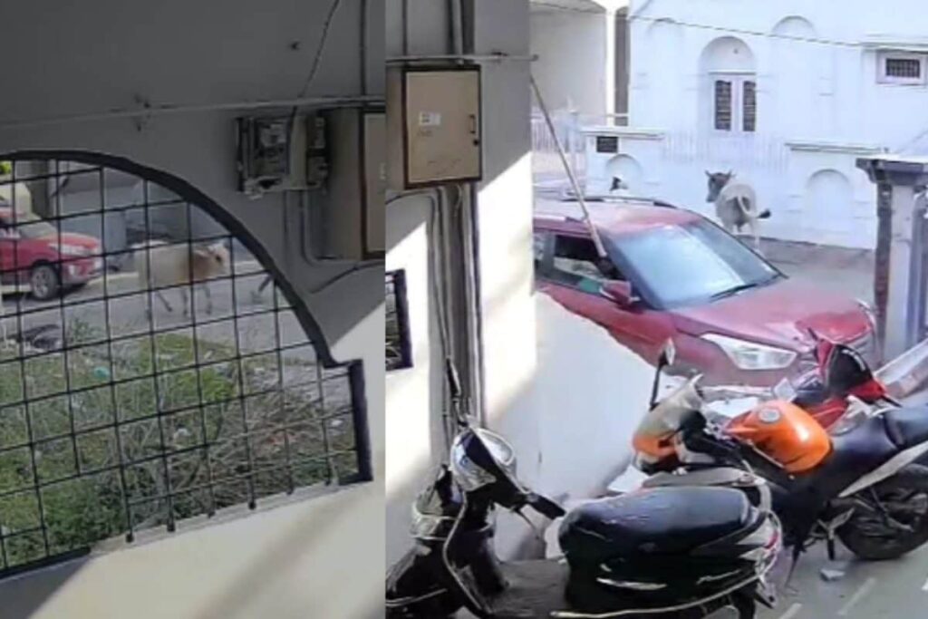 Video: Teen Runs Car Over Biker, Crashes Into Wall; Mother Says, ‘Mera Beta Toh Chalayega’