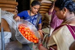 Tamil Nadu Govt Advances Ration Supply Ahead Of Diwali, Over 2 Crore Families To Benefit