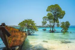 How Andaman Got Its Name: Shashi Tharoor Reveals The Fascinating Ramayana Connection