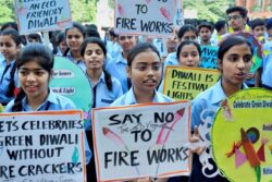 'Govt Will Fully...': Delhi CM Rekha Gupta To Move SC For Green Firecracker Use This Diwali