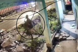 Truck Driver Kidnaps Mentally Challenged Woman In Odisha, Probe On