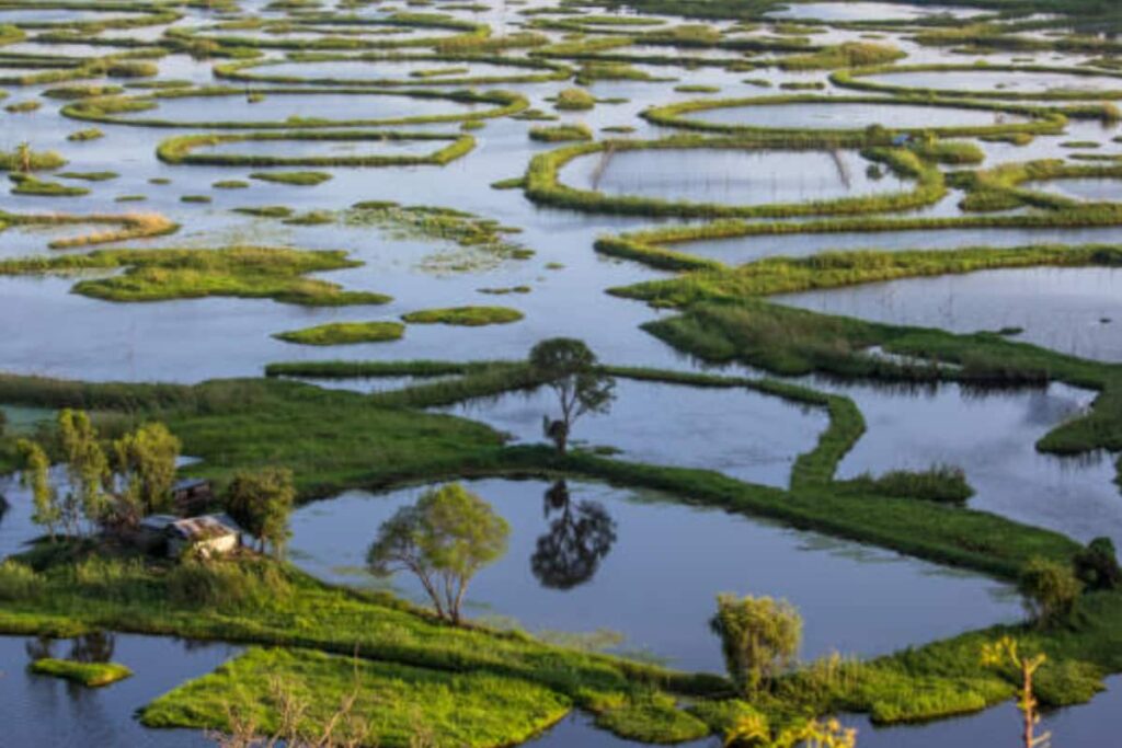 The Only Floating National Park In The World Is Right Here In India