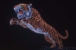 Mysuru Dasara 2025: Breathtaking Drone Show Lights Up Night Sky