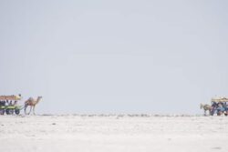 GK: Which Is India’s Largest District? It's 31 Times The Size Of Delhi, Larger Than Several States