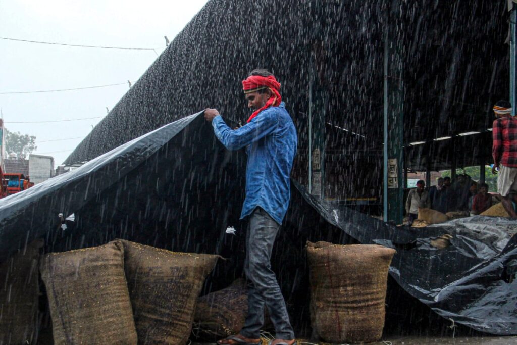 Science-Wise: Unseasonal Rains Disrupt Harvest Again But What’s Causing This October Downpour?