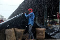 Science-Wise: Unseasonal Rains Disrupt Harvest Again But What’s Causing This October Downpour?