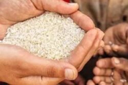 This State Is Now Free From 'Extreme Poverty'. What It Means, How India Compares | Explained