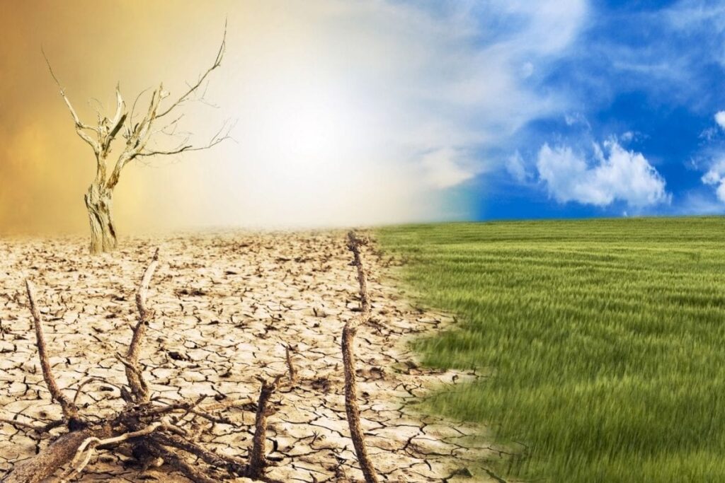 COP30 Must Deliver On Adaptation, Just Transition And Finance: UNDP India Representative | Exclusive