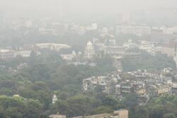 ‘Even Love Needs Life Support’: Delhi Turns To Memes Amid Worsening Smog
