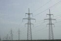 Bengaluru: Lalbagh And Surrounding Areas To Face Power Cut On November 27