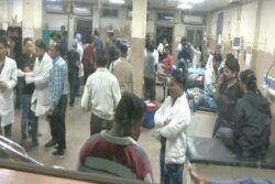 Three Killed, Several Injured After Passenger Bus Falls Into Gorge Near Indore