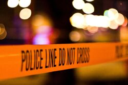 Leopard Enters Nashik Neighborhood, Eight People Injured During Rescue Op