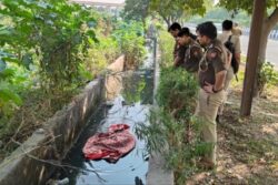 Naked Body Of Woman Found In Noida Drain; Head, Palms Severed