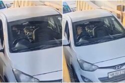 CCTV Video Shows Delhi Suicide Bomber Umar Nabi Driving Explosive-Laden Car At Badarpur Border