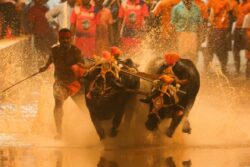 800 Years, One Royal Family And A Kambala That Still Stops Coastal Karnataka