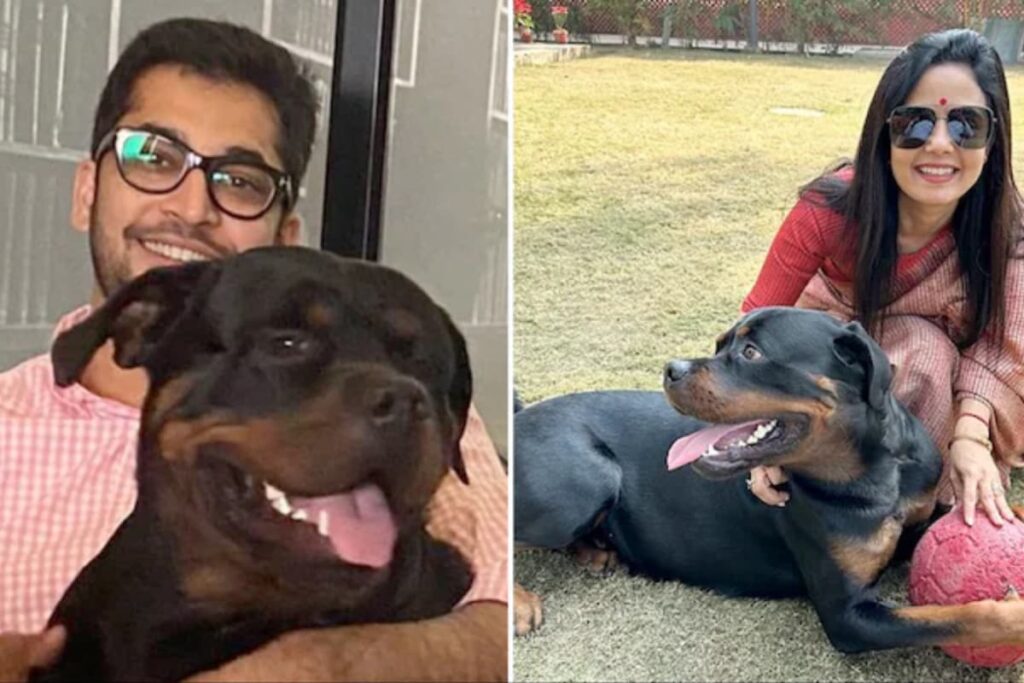 ‘Henry Is Safe’: Jay Dehadrai Claims Win In Dog Custody Case Against Mahua Moitra
