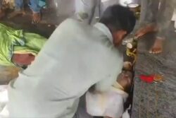 Andhra Temple Stampede: Devotees Seen Giving CPR To Fainting Pilgrims | Video