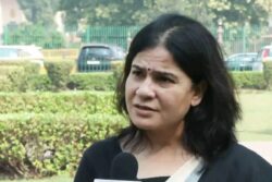 ‘Nightmare For Administration’: Animal Rights Activists Disappointed With SC Order On Stray Dogs