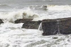 Cyclone Ditwah: 3 Killed As Heavy Rain Batters Tamil Nadu; IMD Forecasts Intense Showers Till Dec 1